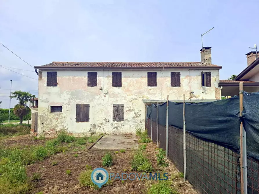 Immagine 5 di Casa indipendente in vendita  in Via Rovere a Masera' Di Padova