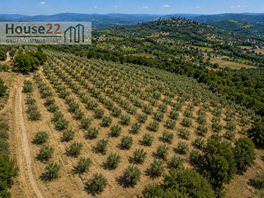 Immagine 2 di Terreno in vendita  in CONTRADA ZUPPARDA a Noto