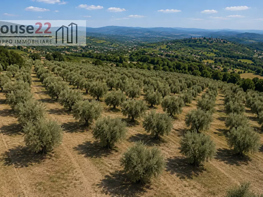 Immagine 4 di Terreno in vendita  in CONTRADA ZUPPARDA a Noto