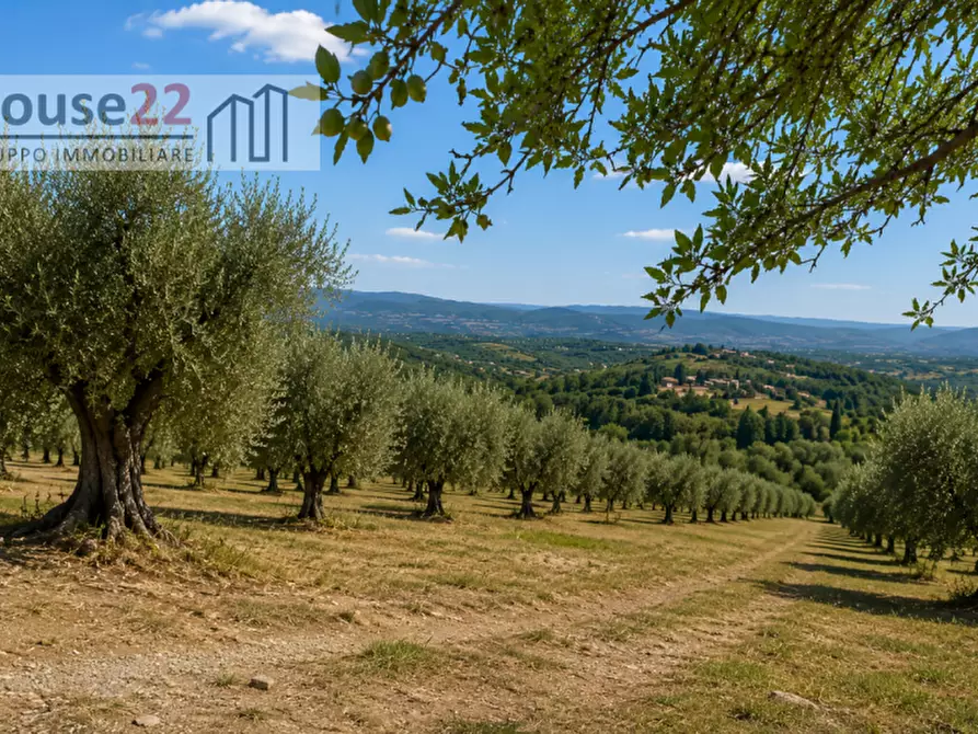 Immagine 5 di Terreno in vendita  in CONTRADA ZUPPARDA a Noto