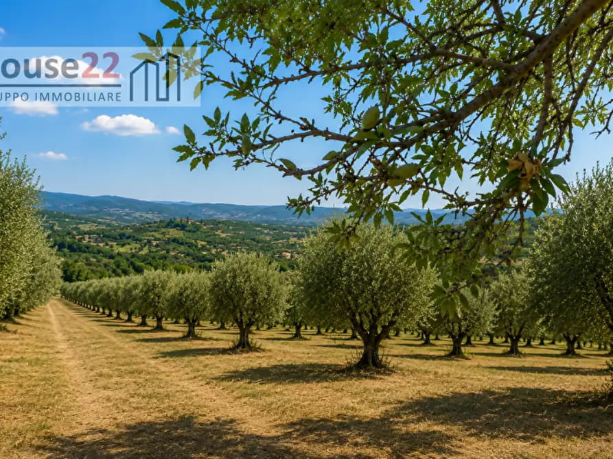 Immagine 7 di Terreno in vendita  in CONTRADA ZUPPARDA a Noto