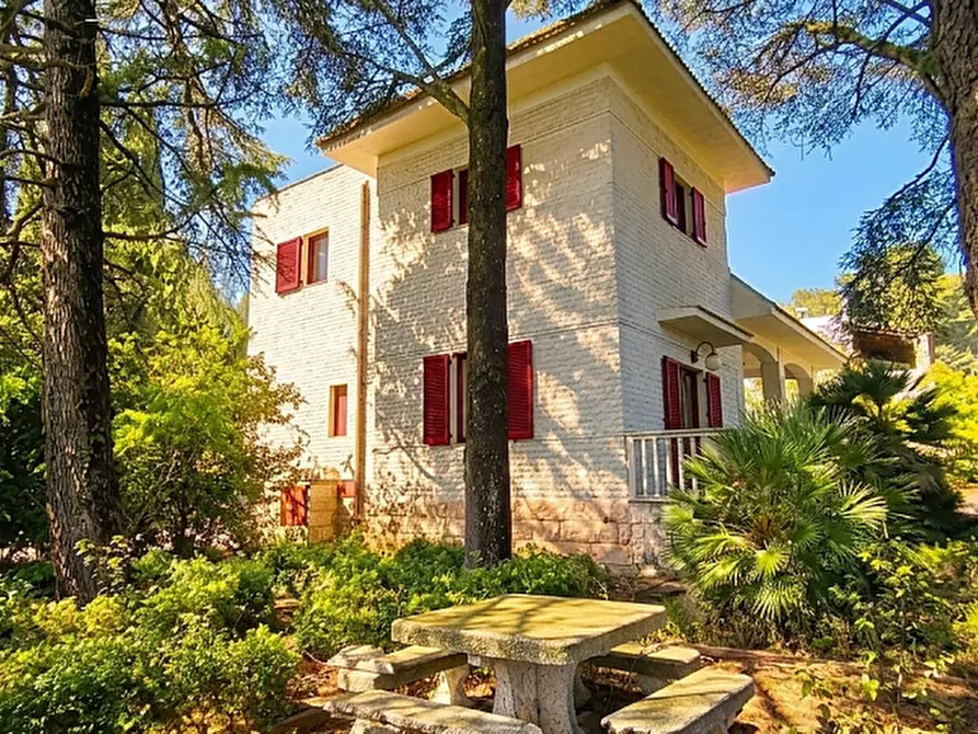 Immagine 1 di Villa in vendita  a Fasano