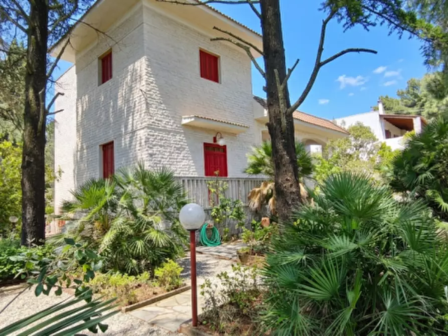 Immagine 3 di Villa in vendita  a Fasano