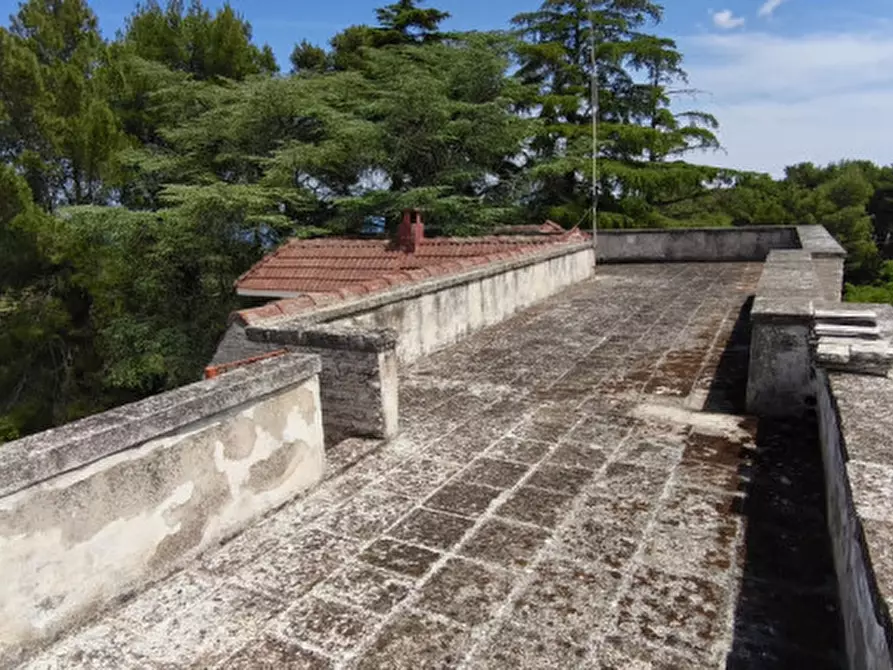 Immagine 8 di Villa in vendita  a Fasano