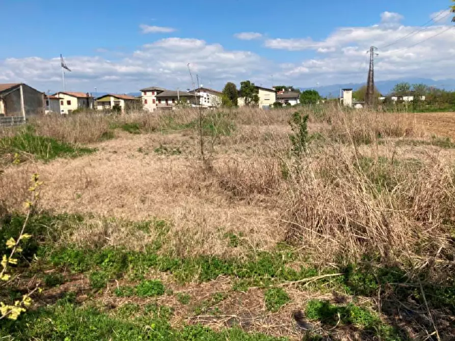 Immagine 5 di Terreno in vendita  in Via Tiso da Camposampiero a Cittadella