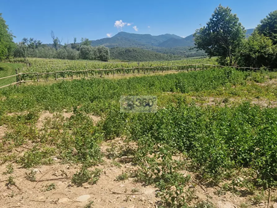 Immagine 4 di Terreno in vendita  in Via Paolo VI a Provaglio D'iseo