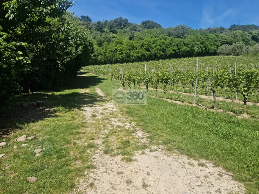 Immagine 6 di Terreno in vendita  in Via Paolo VI a Provaglio D'iseo