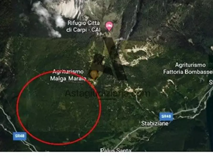 Immagine 3 di Terreno in vendita  in via malga maraia a Auronzo Di Cadore
