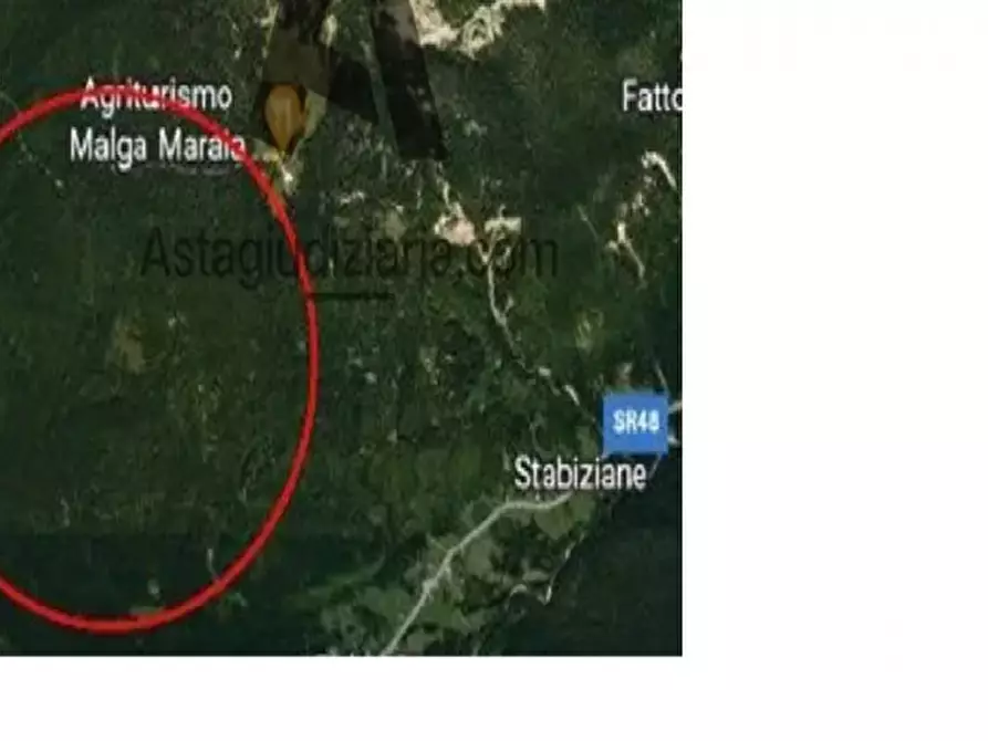 Immagine 4 di Terreno in vendita  in via malga maraia a Auronzo Di Cadore