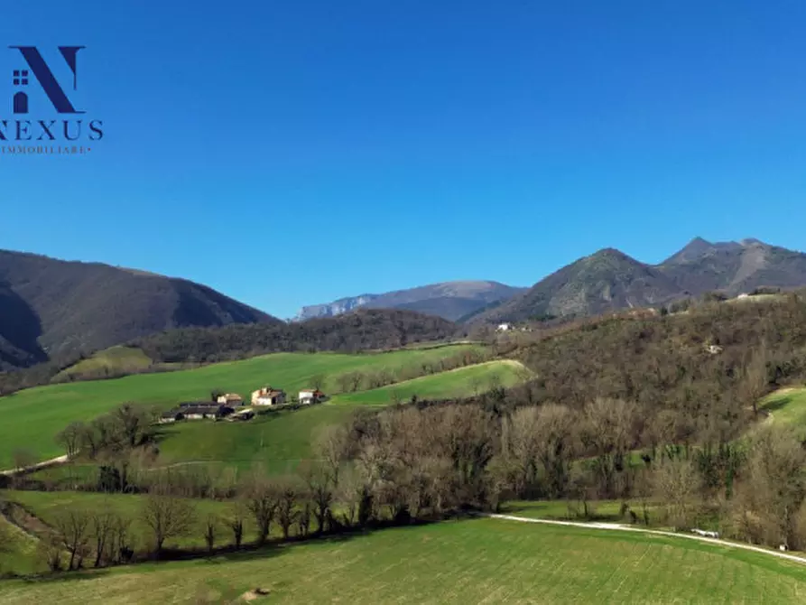 Immagine 3 di Rustico / casale in vendita  a Sassoferrato