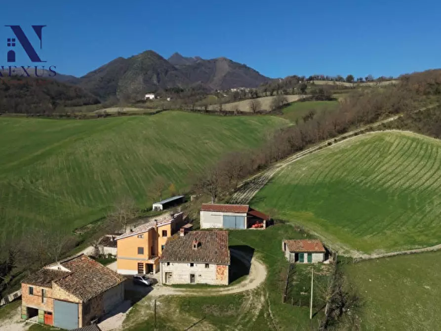 Immagine 4 di Rustico / casale in vendita  a Sassoferrato