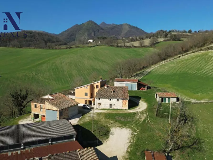 Immagine 5 di Rustico / casale in vendita  a Sassoferrato