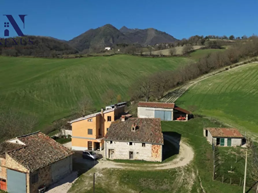 Immagine 6 di Rustico / casale in vendita  a Sassoferrato