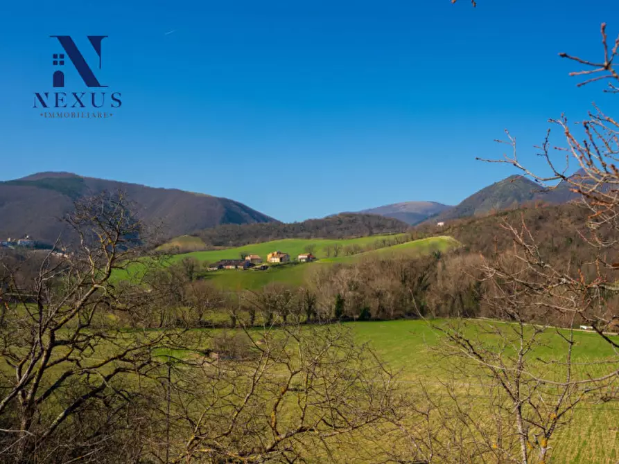 Immagine 7 di Rustico / casale in vendita  a Sassoferrato