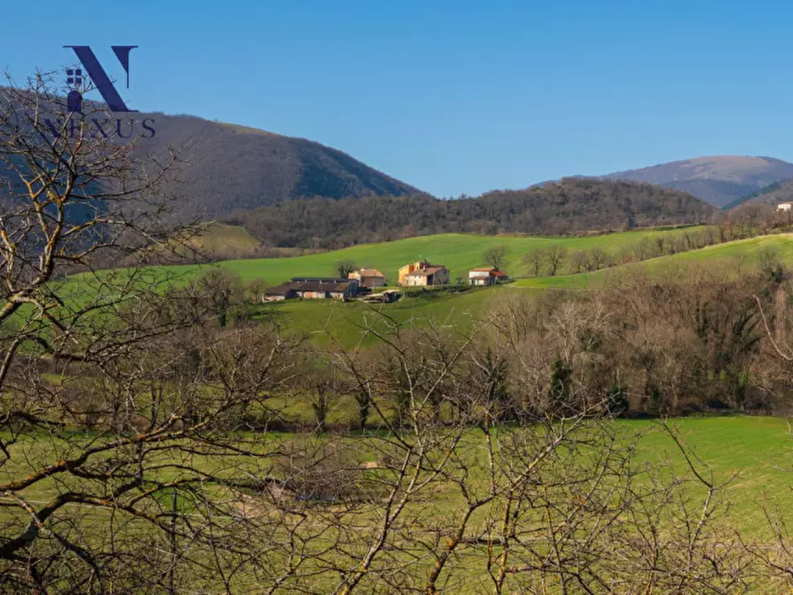 Immagine 8 di Rustico / casale in vendita  a Sassoferrato