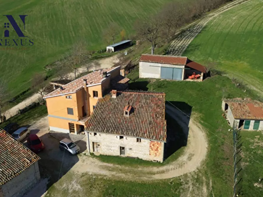 Immagine 9 di Rustico / casale in vendita  a Sassoferrato