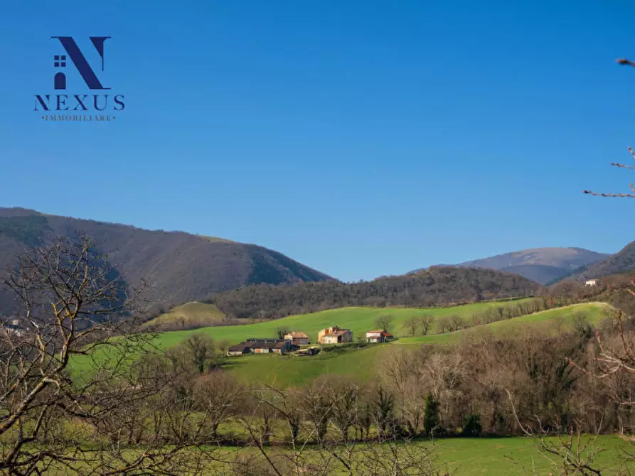 Immagine 11 di Rustico / casale in vendita  a Sassoferrato