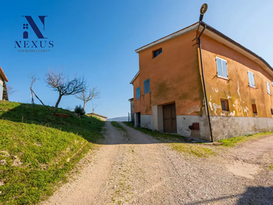 Immagine 12 di Rustico / casale in vendita  a Sassoferrato