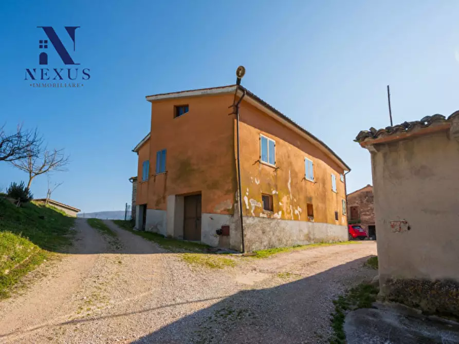 Immagine 13 di Rustico / casale in vendita  a Sassoferrato