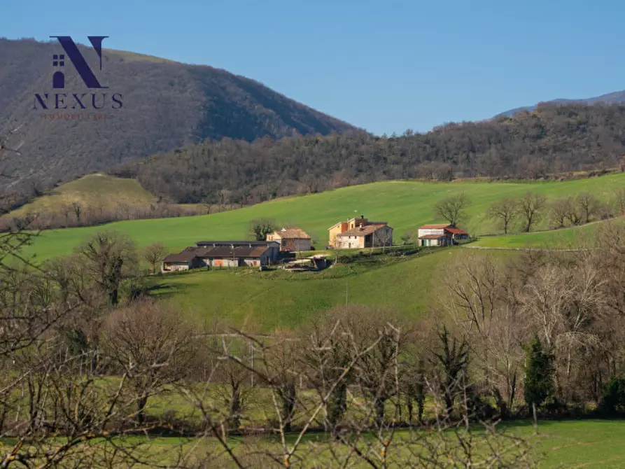 Immagine 15 di Rustico / casale in vendita  a Sassoferrato