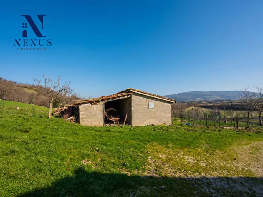 Immagine 16 di Rustico / casale in vendita  a Sassoferrato