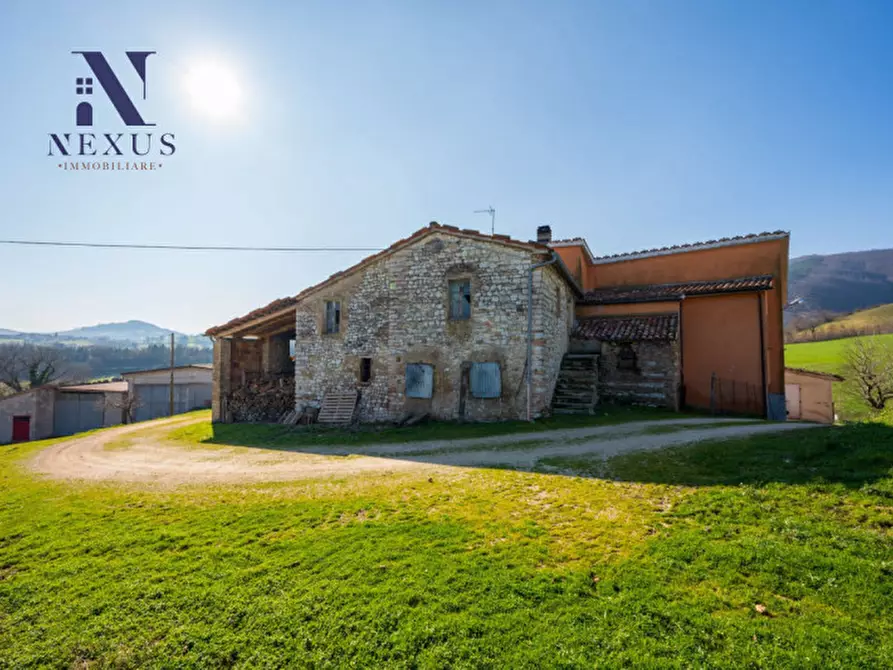 Immagine 17 di Rustico / casale in vendita  a Sassoferrato