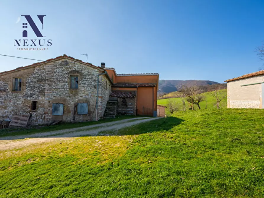 Immagine 18 di Rustico / casale in vendita  a Sassoferrato