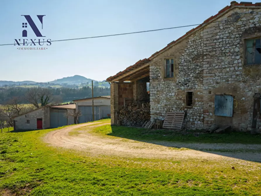 Immagine 19 di Rustico / casale in vendita  a Sassoferrato