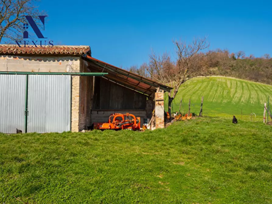 Immagine 21 di Rustico / casale in vendita  a Sassoferrato