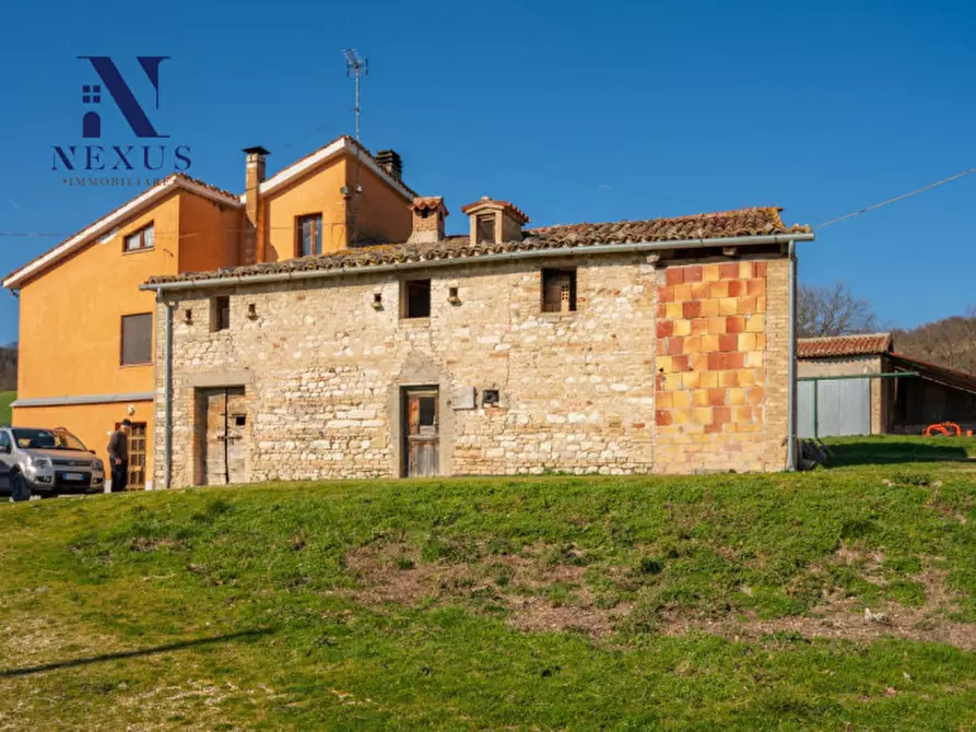 Immagine 23 di Rustico / casale in vendita  a Sassoferrato