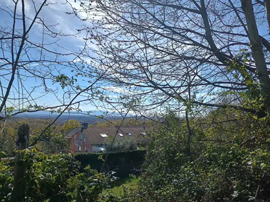 Immagine 2 di Terreno in vendita  in GIVOLETTO a Givoletto