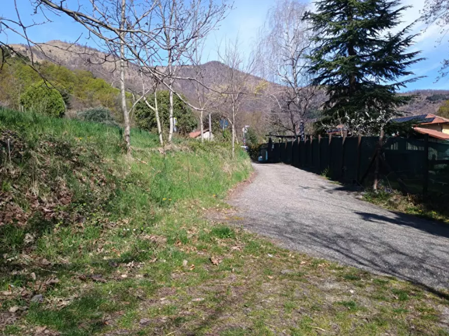 Immagine 3 di Terreno in vendita  in GIVOLETTO a Givoletto