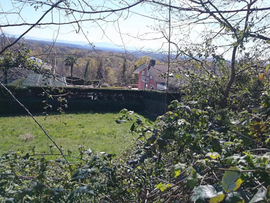 Immagine 12 di Terreno in vendita  in GIVOLETTO a Givoletto