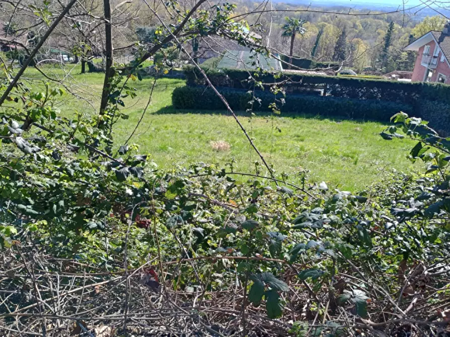 Immagine 15 di Terreno in vendita  in GIVOLETTO a Givoletto