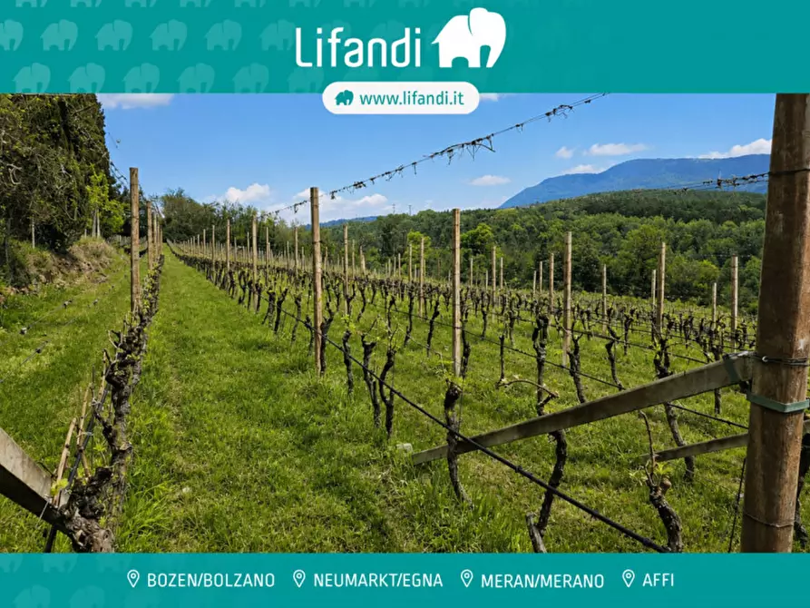Immagine 1 di Terreno in vendita  a Caldaro Sulla Strada Del Vino .Kaltern An De.