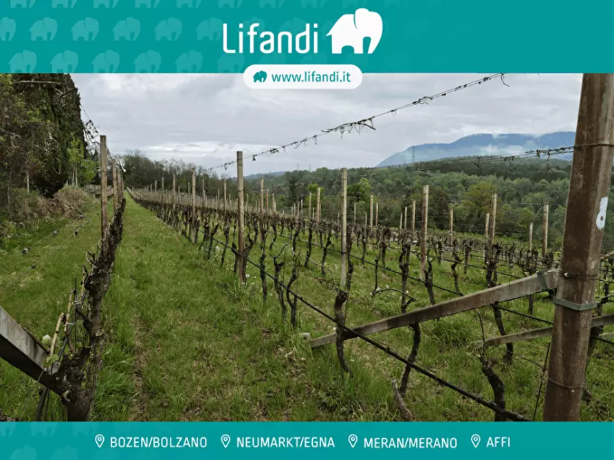 Immagine 1 di Terreno in vendita  a Caldaro Sulla Strada Del Vino .Kaltern An De.