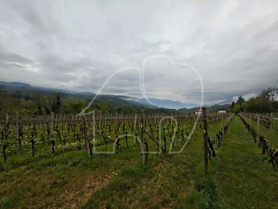 Immagine 2 di Terreno in vendita  a Caldaro Sulla Strada Del Vino .Kaltern An De.