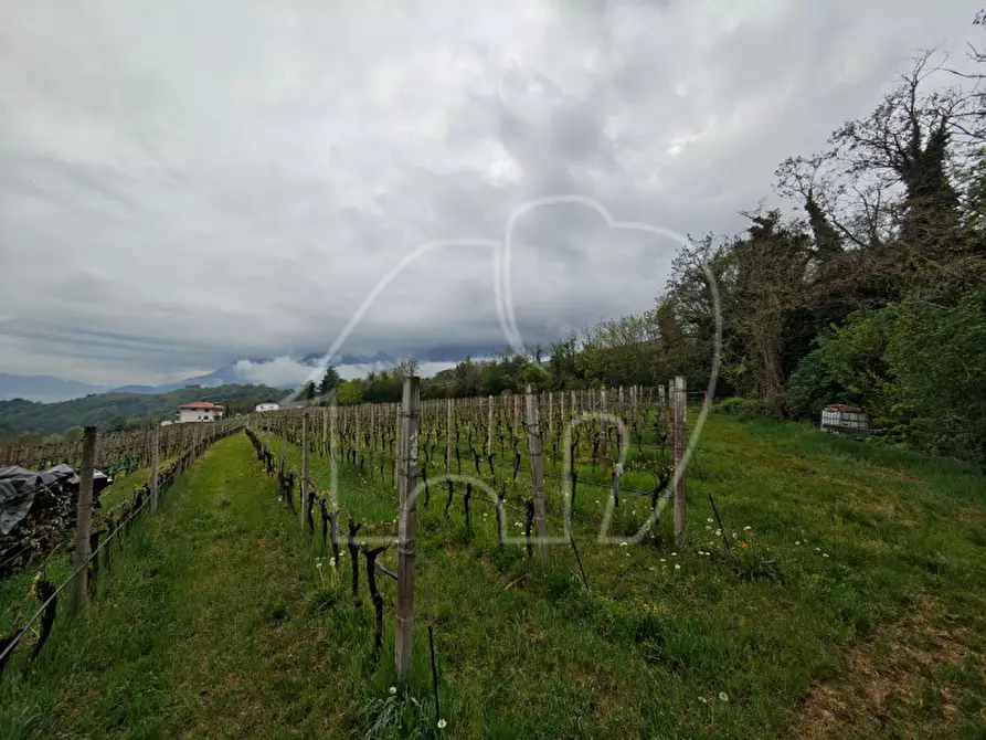 Immagine 3 di Terreno in vendita  a Caldaro Sulla Strada Del Vino .Kaltern An De.