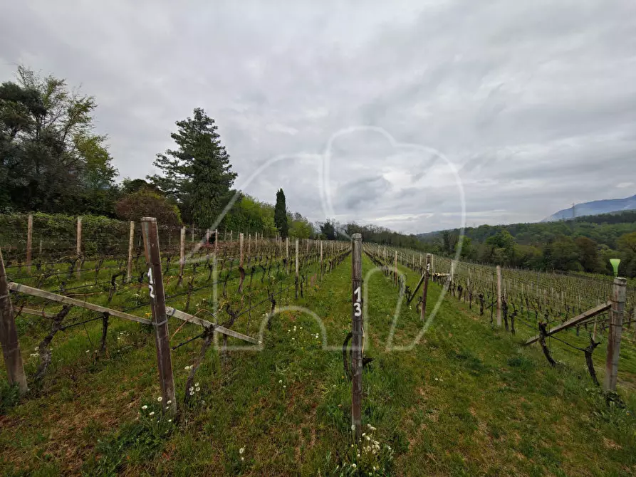 Immagine 4 di Terreno in vendita  a Caldaro Sulla Strada Del Vino .Kaltern An De.