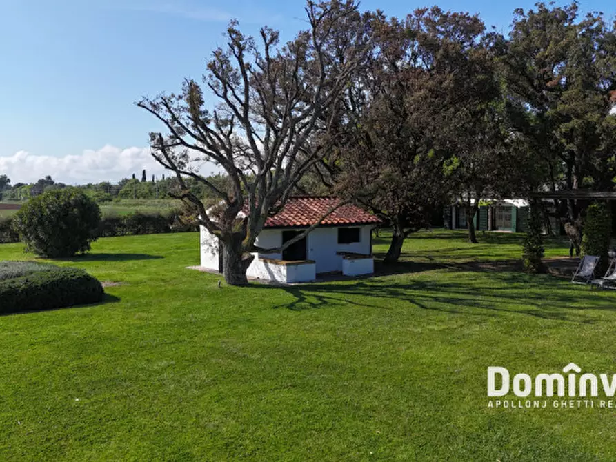 Immagine 9 di Villa in affitto  in Strada di Macchiatonda a Capalbio