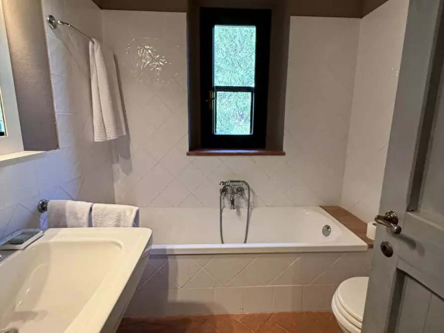 Immagine 23 di Villa in affitto  in Strada di Macchiatonda a Capalbio