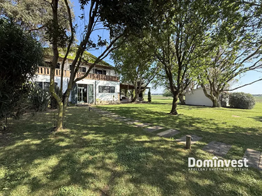 Immagine 48 di Villa in affitto  in Strada di Macchiatonda a Capalbio