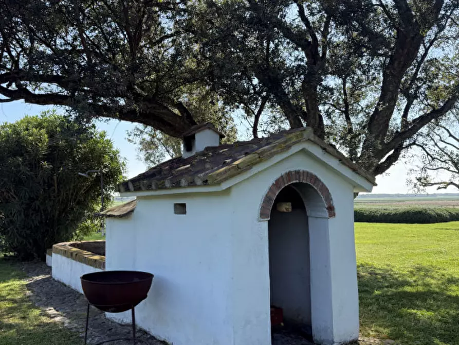 Immagine 53 di Villa in affitto  in Strada di Macchiatonda a Capalbio