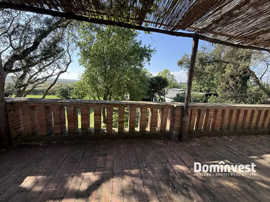Immagine 63 di Villa in affitto  in Strada di Macchiatonda a Capalbio