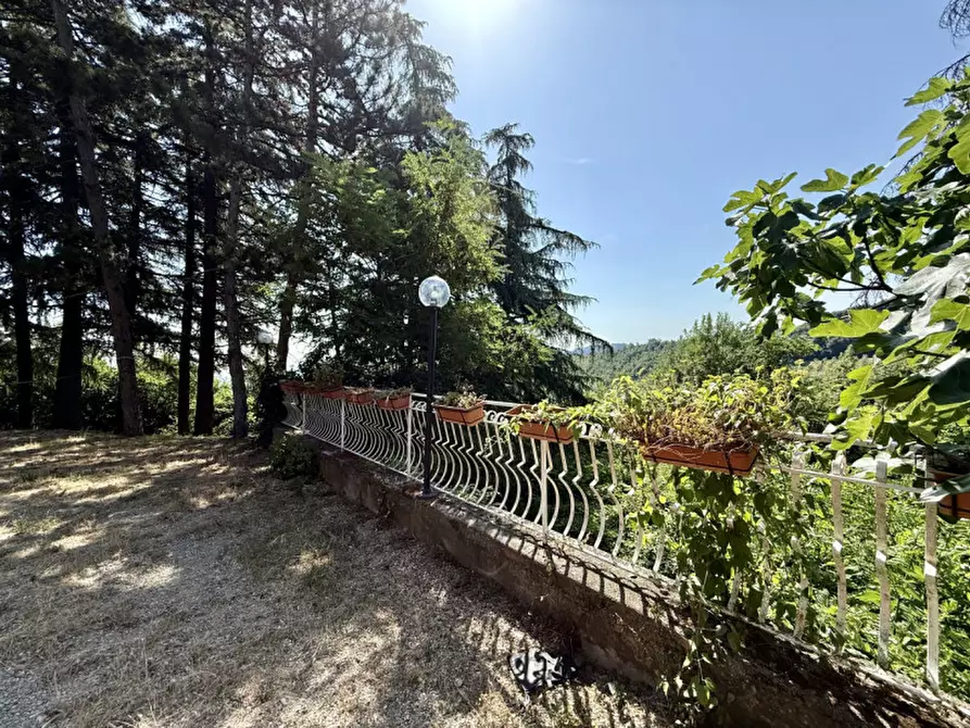 Immagine 26 di Appartamento in affitto  a Pianoro