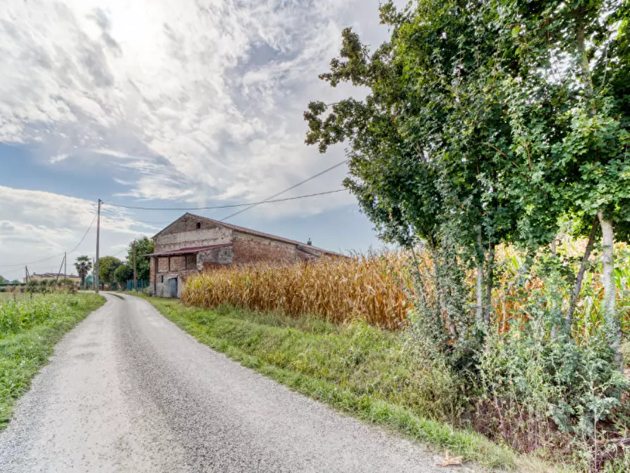 Immagine 2 di Terreno in vendita  in Via San Michele Arcangelo a Mestrino