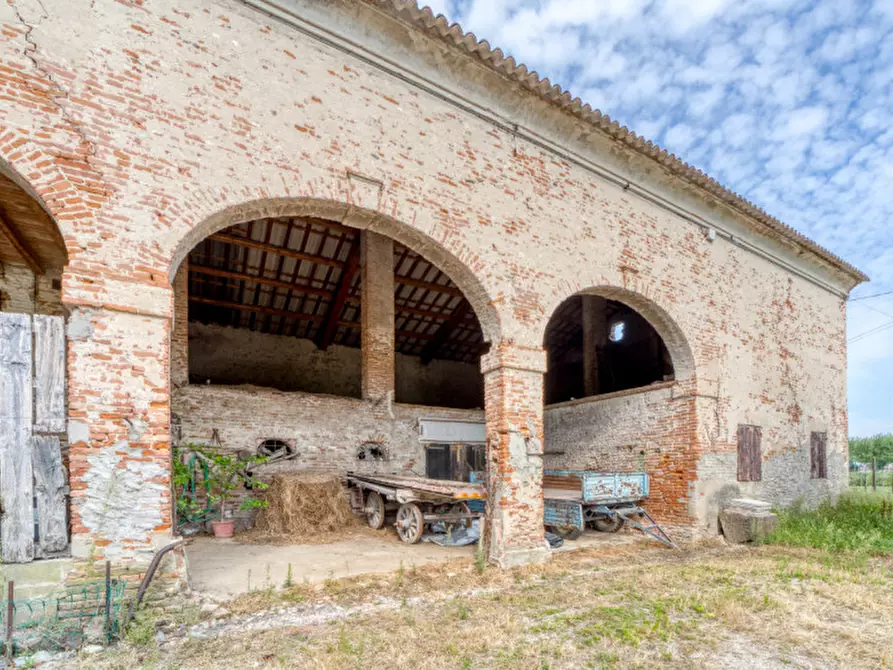 Immagine 5 di Terreno in vendita  in Via San Michele Arcangelo a Mestrino