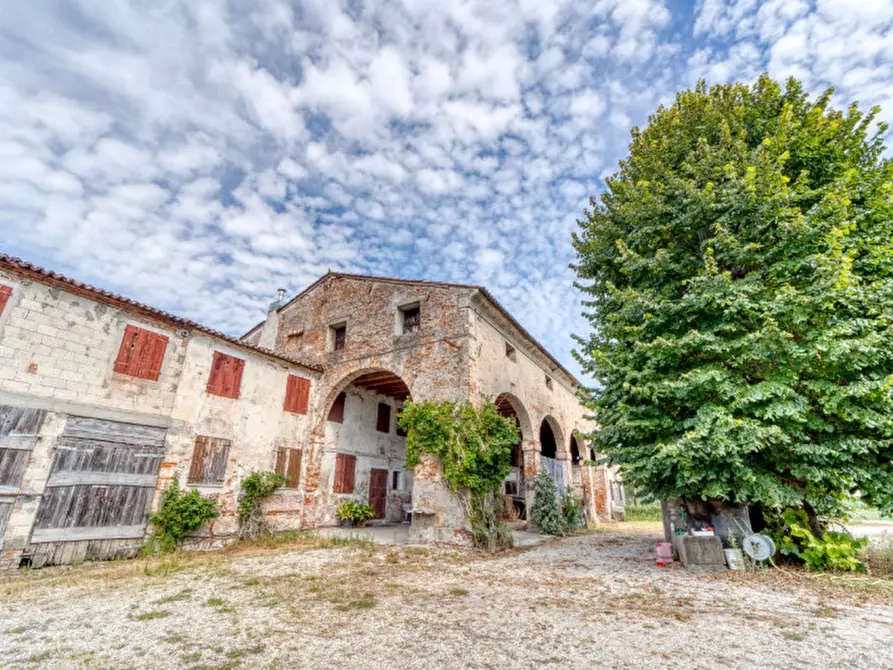 Immagine 6 di Terreno in vendita  in Via San Michele Arcangelo a Mestrino