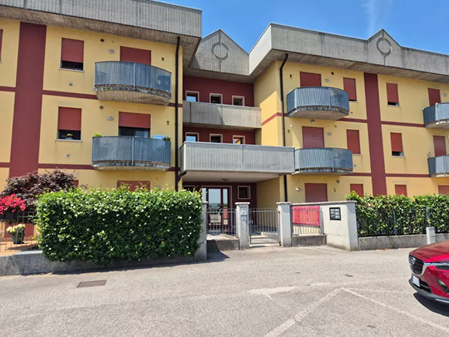 Immagine 12 di Appartamento in vendita  a Zimella