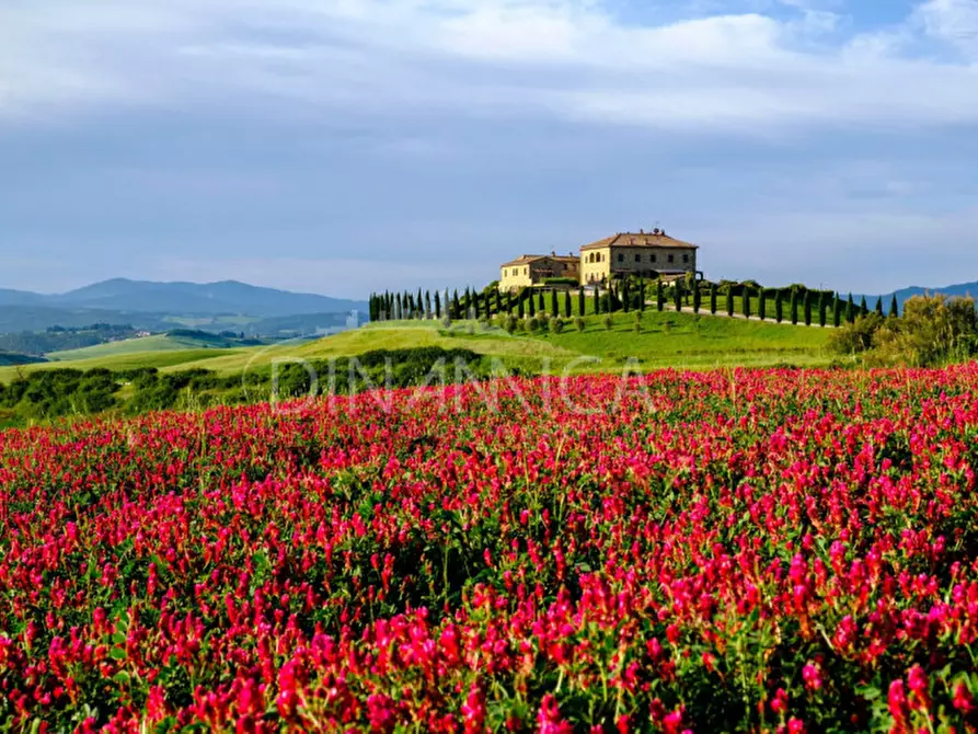 Immagine 3 di Appartamento in vendita  a Volterra